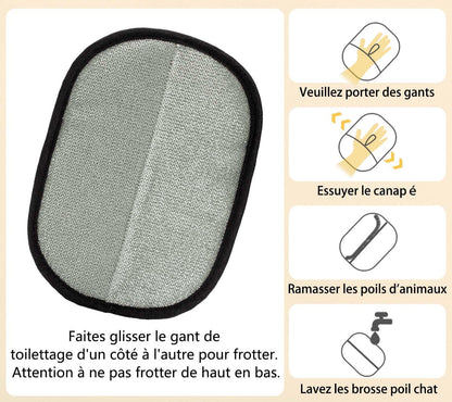 DOGISTA™ Gant magique anti-poils